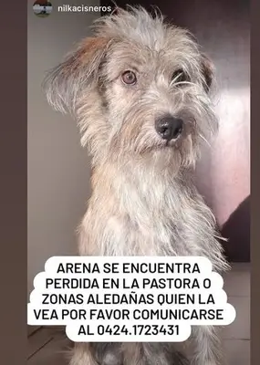 Foto de Arena