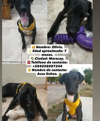 Foto de acsa ochoa