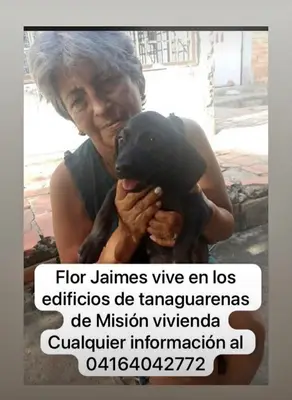 Foto de Flor jaime