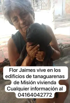 Foto de Flor Jaimes